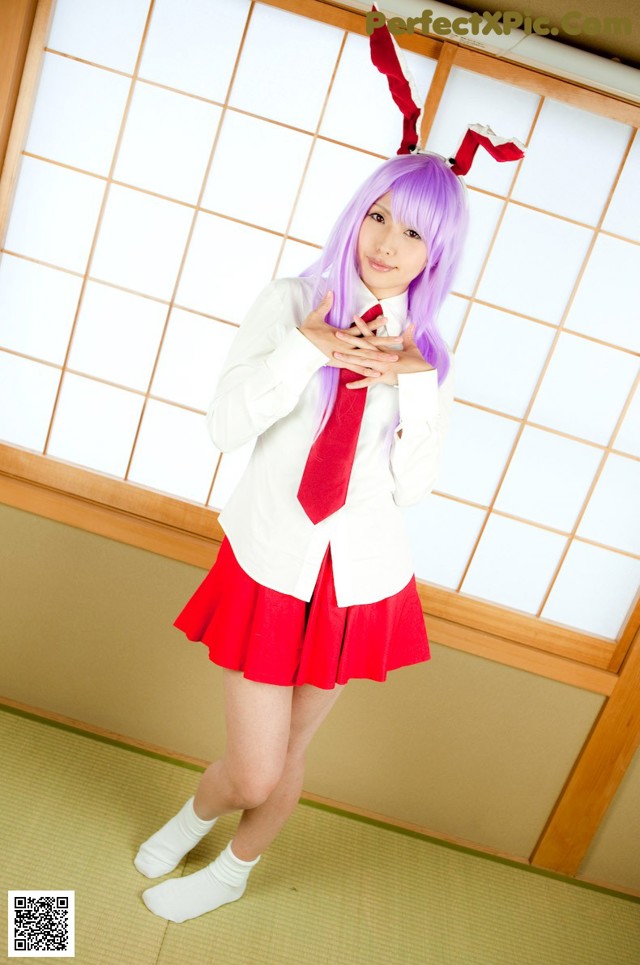 Glossy Rabbit - Day Saching Sperms No.7cd6b4